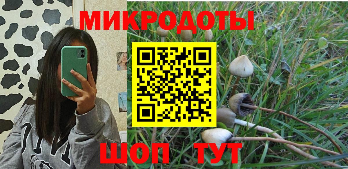 Галлюциногенные грибы мухоморы Воткинск
