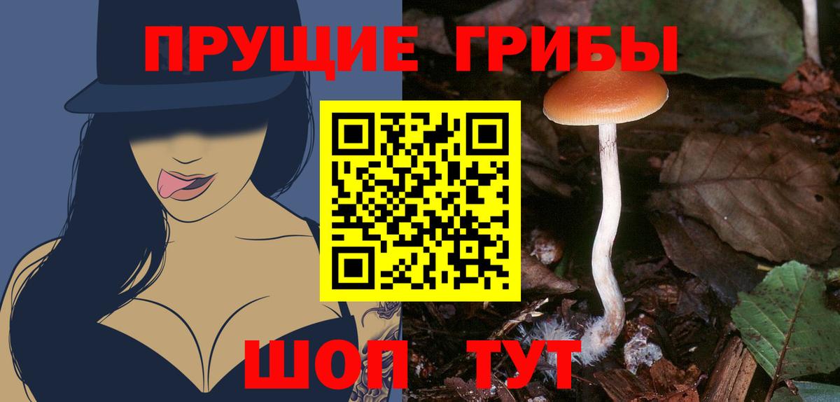 Галлюциногенные грибы GOLDEN TEACHER  Вход с VPN  Воткинск 